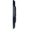 Ekena Millwork Wakefield Ceiling Medallion (Fits Canopies up to 3 5/8"), 11 3/4"OD x 1 1/4"P, Midnight Dream CM11WAMDF - alternate 5